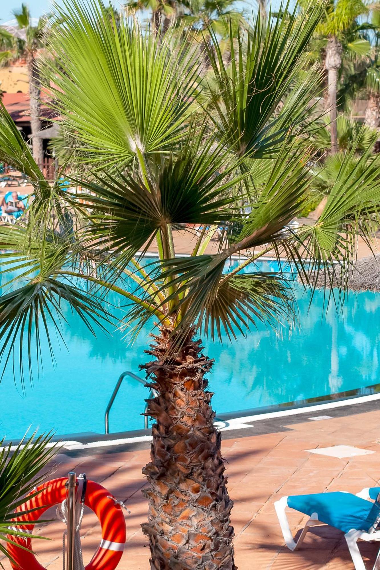 Fuerteventurapartments Κοραλέχο Εξωτερικό φωτογραφία